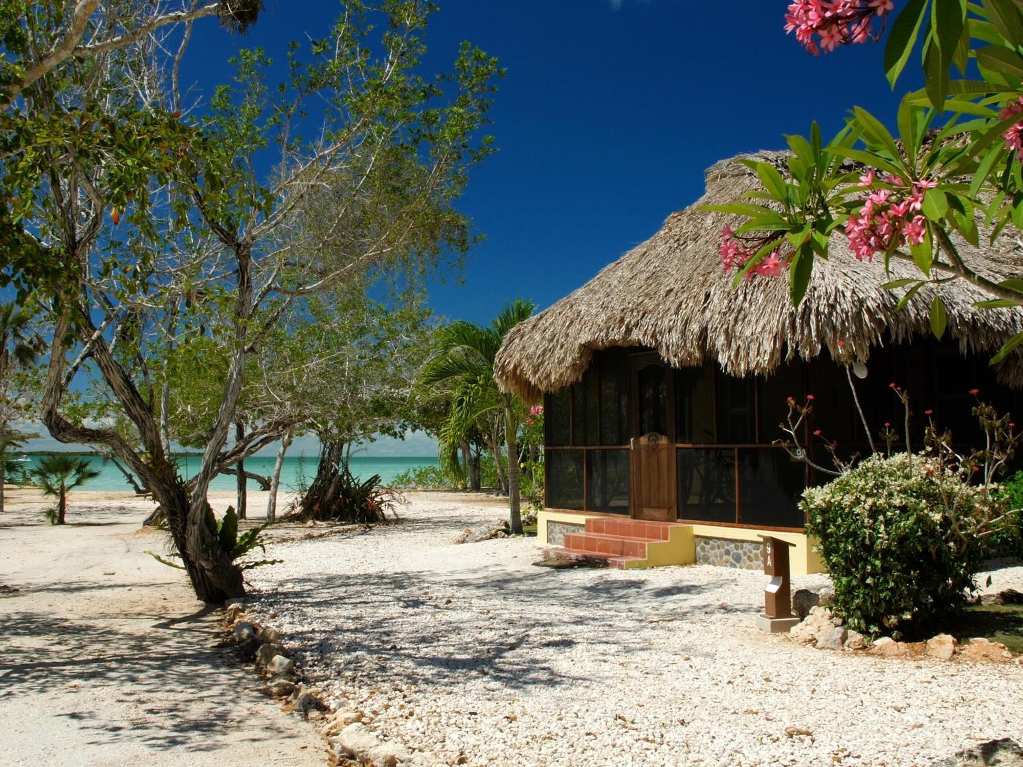 Orchid Bay Resort Corozal Room photo